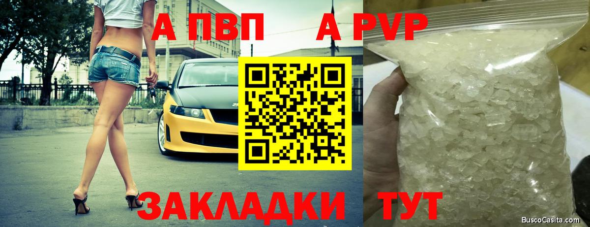 A PVP СК Кузнецк
